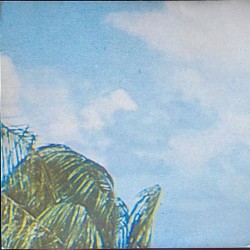 The Hospitals: Hairdryer Peace LP